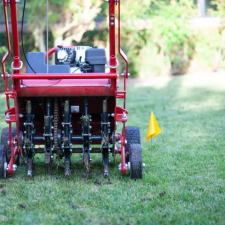 Lawn Spot Weeding and Overseeding Service
