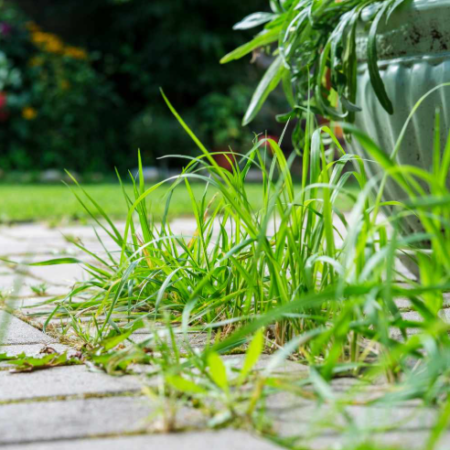 Garden Edging and Weed Barrier Installation Service