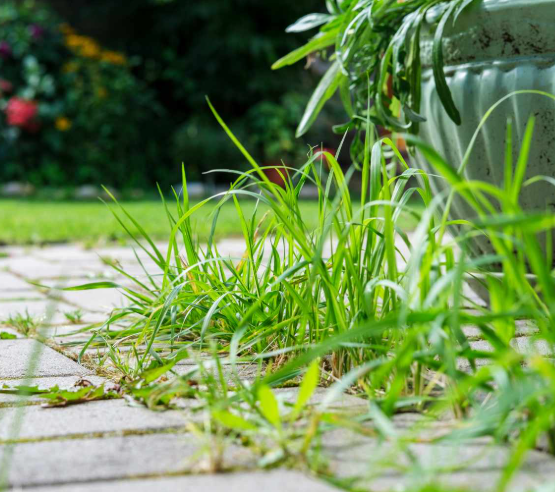 Garden Edging and Weed Barrier Installation Service