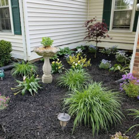 Move-Out Yard Weeding and Cleanup Service