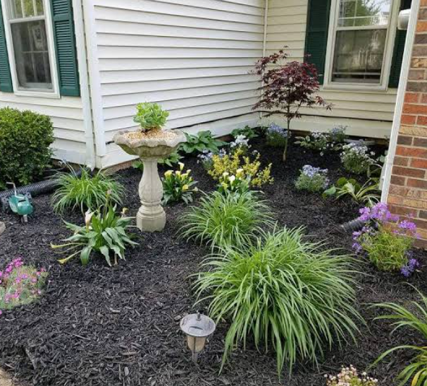 Move-Out Yard Weeding and Cleanup Service