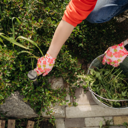 Pre-Sale Yard Weeding and Curb Appeal Service
