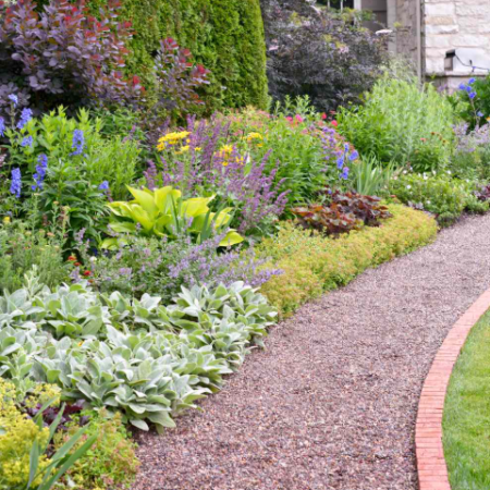 Border and Edge Weeding Service