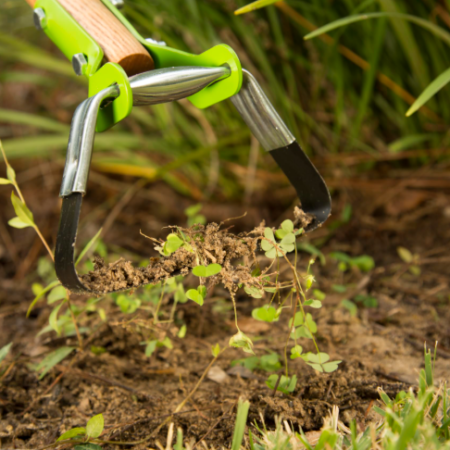 Monthly Yard Weed Control Service