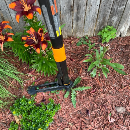 Custom-Area Yard Weeding Service