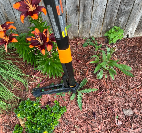 Custom-Area Yard Weeding Service
