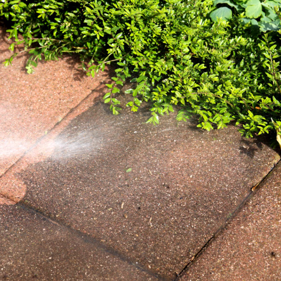 Weeding and Surface Pressure Washing Combo Service