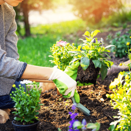 Garden Bed Weeding Service