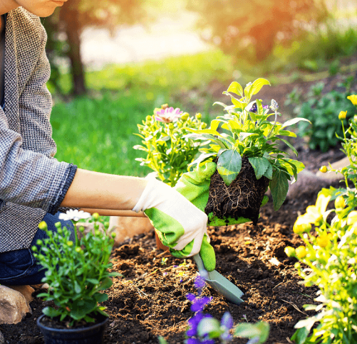 Garden Bed Weeding Service