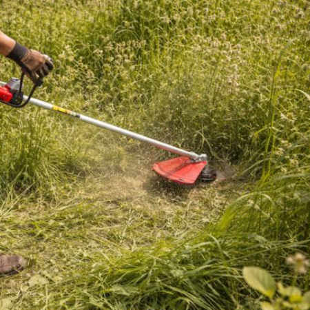 Dense Weed Removal Service