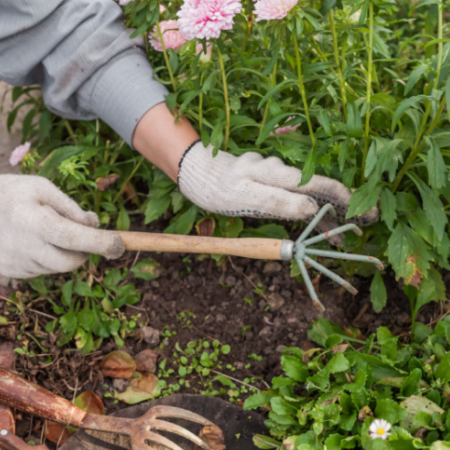 Vegetable Garden Physical Weeding Service