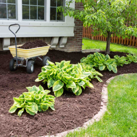 Weed Removal and Barrier Installation Service