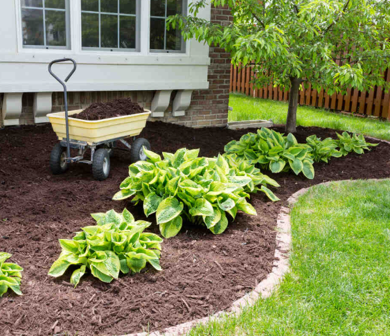 Weed Removal and Barrier Installation Service